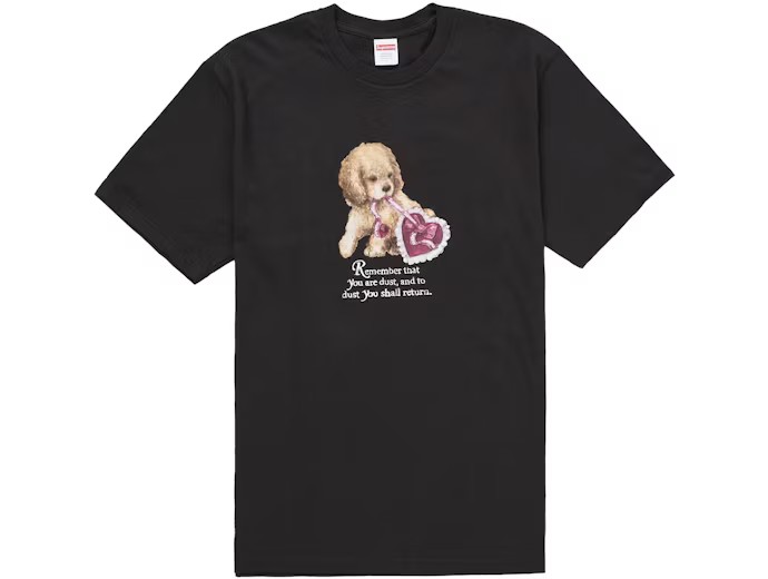 Supreme Dust Tee Black
